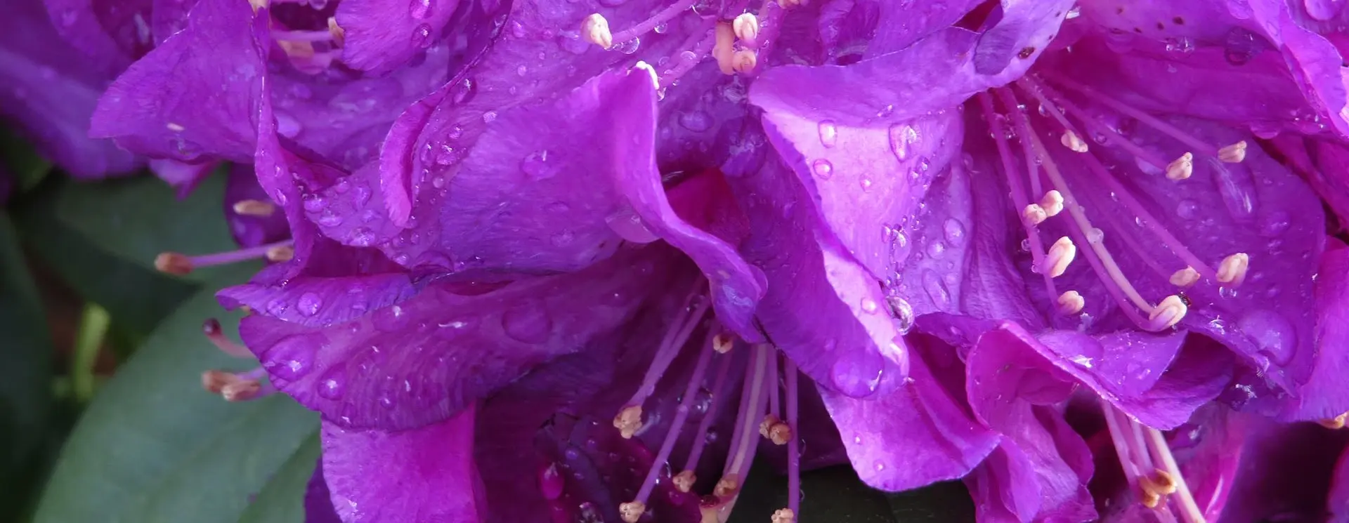 Public Open Days at Van Arnhem