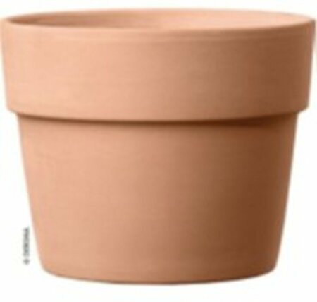 Terracotta pot - Cachepot Perfetto D50cm, H38.9cm, 52L