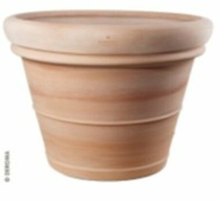 Terracotta pot - Tuscany Double Rim XXL D70cm, H55cm, 134L